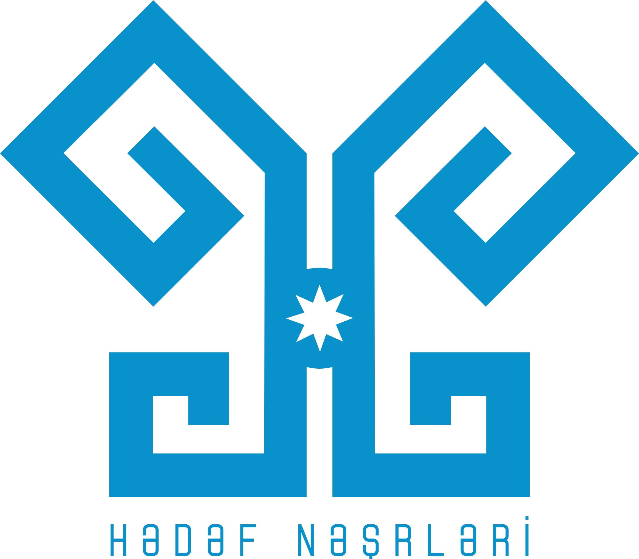 Logo 1